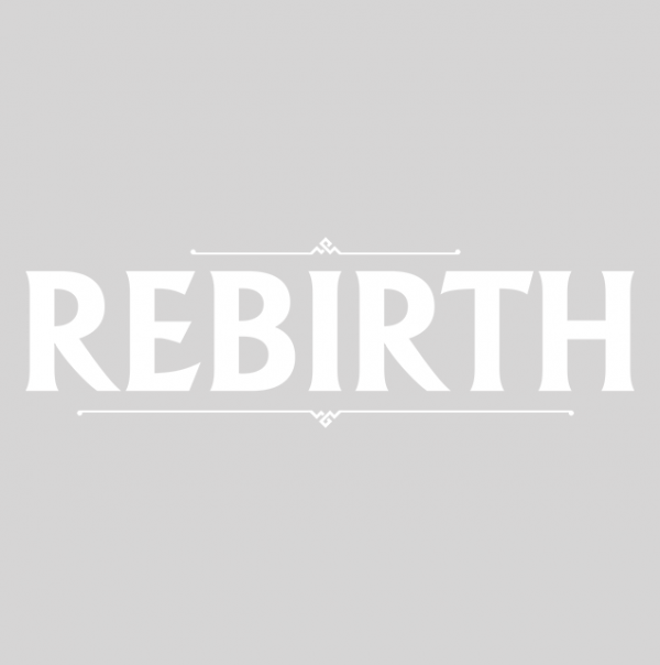 REBIRTH - vue 10