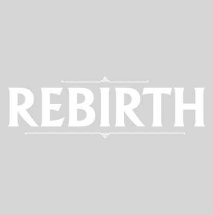 REBIRTH - vue 10